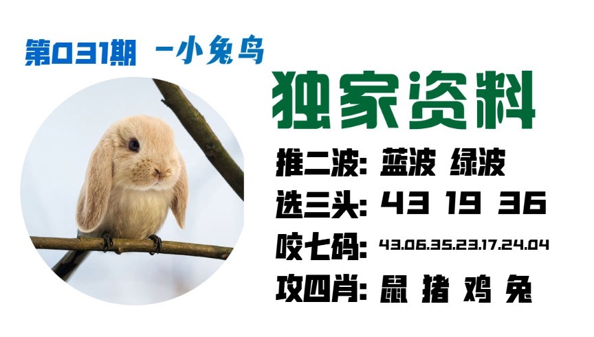 031期小兔鸟[图]